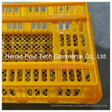 PE Material Chicken Transportation Cage